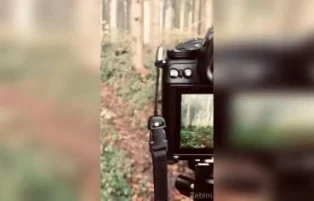 Eliane Zebini exibe deliciosamente suas curvas sensuais